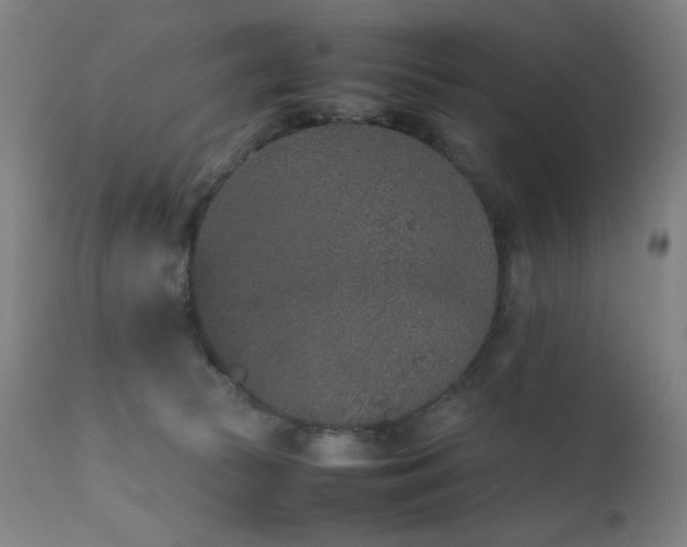 X0000111650177200907171554