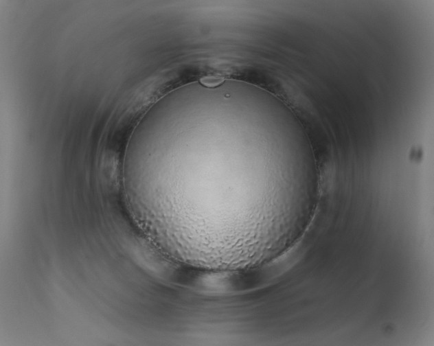X0000111650178200907171554