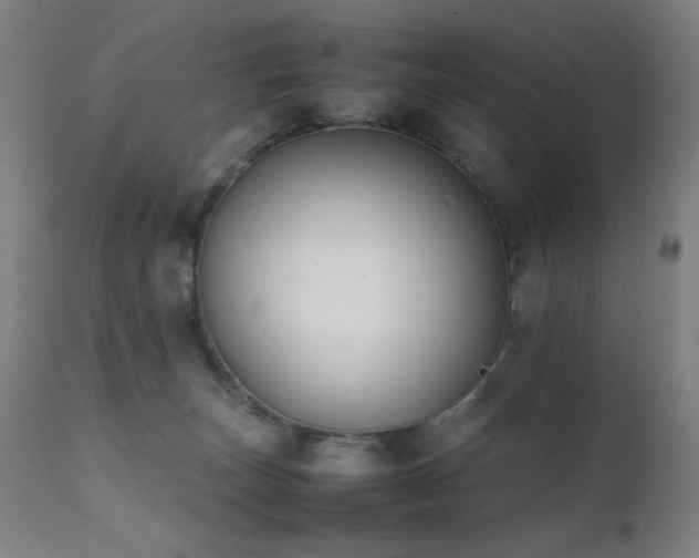 X0000111650179200907171554