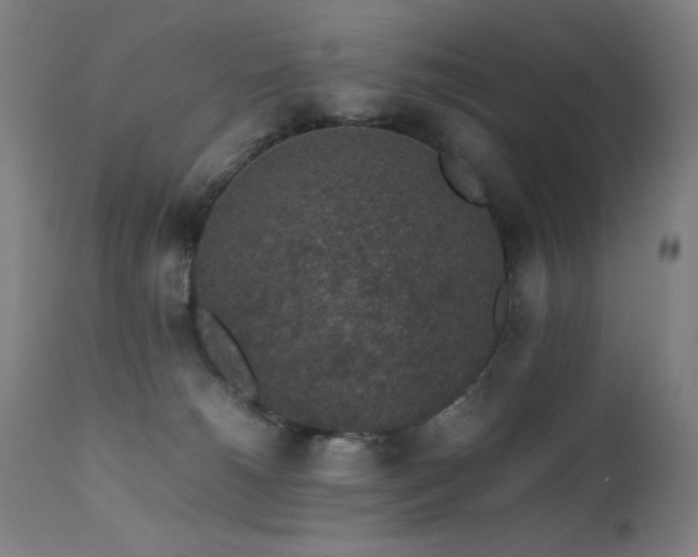 X0000111650180200907171554