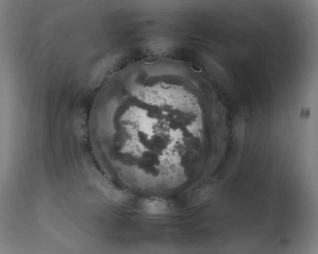 X0000111650181200907171554