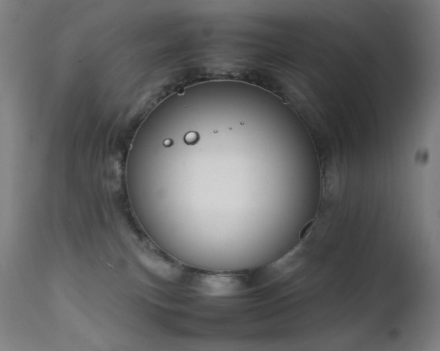 X0000111650183200907171554