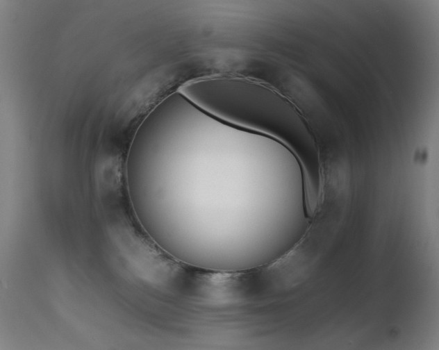 X0000111650184200907171554