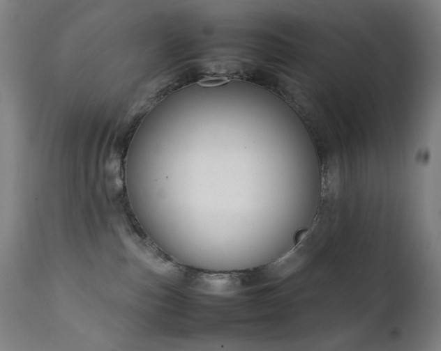 X0000111650187200907171554