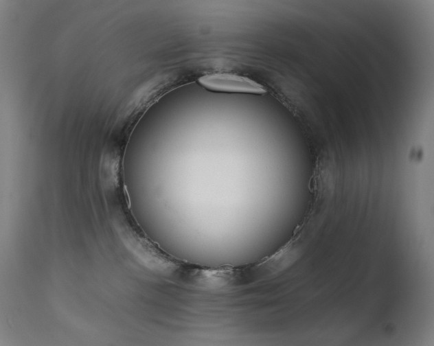 X0000111650188200907171554