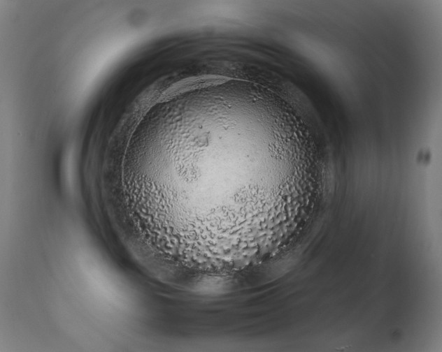 X0000111650189200907171554