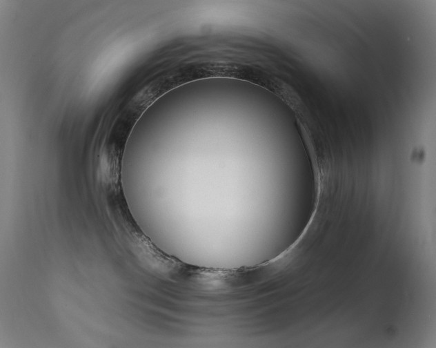 X0000111650190200907171554
