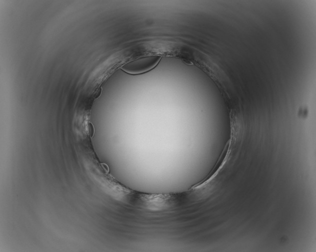 X0000111650191200907171554