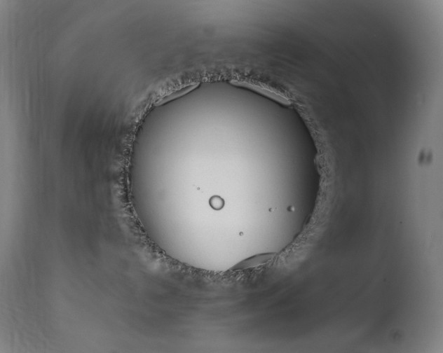 X0000111650192200907171554