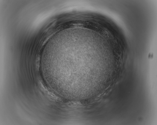 X0000111650194200907171553