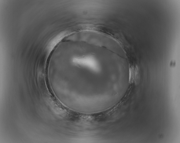 X0000111650195200907171553