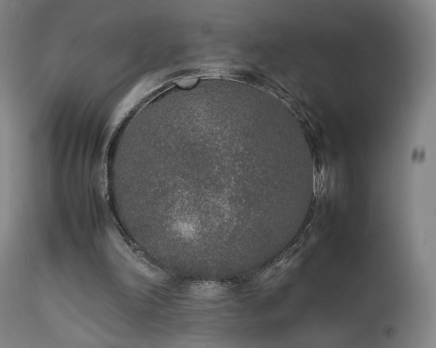 X0000111650198200907171553