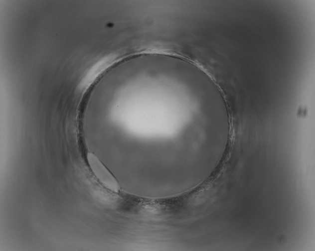 X0000111650199200907171553