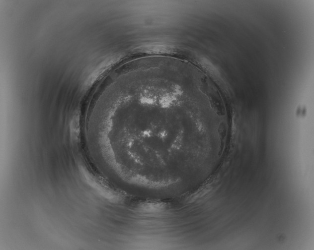 X0000111650202200907171553