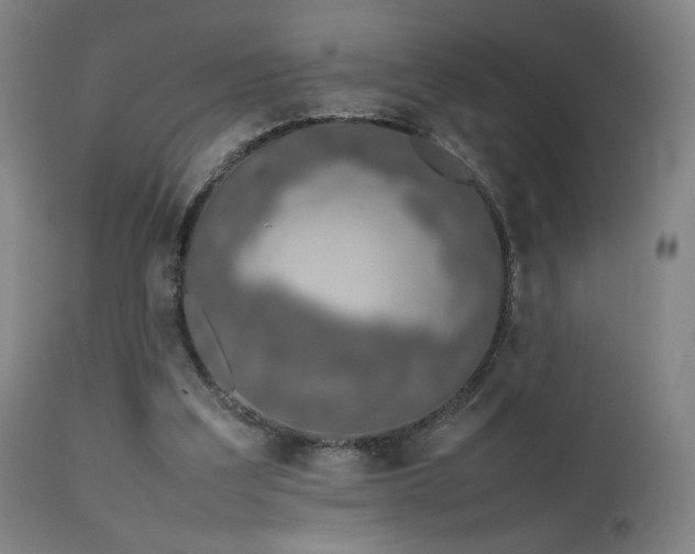 X0000111650203200907171553