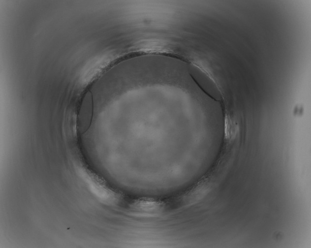 X0000111650205200907171553