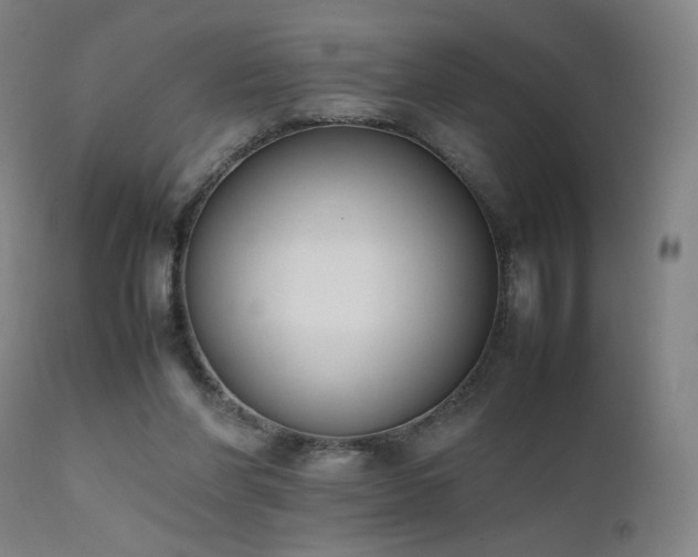 X0000111650206200907171553