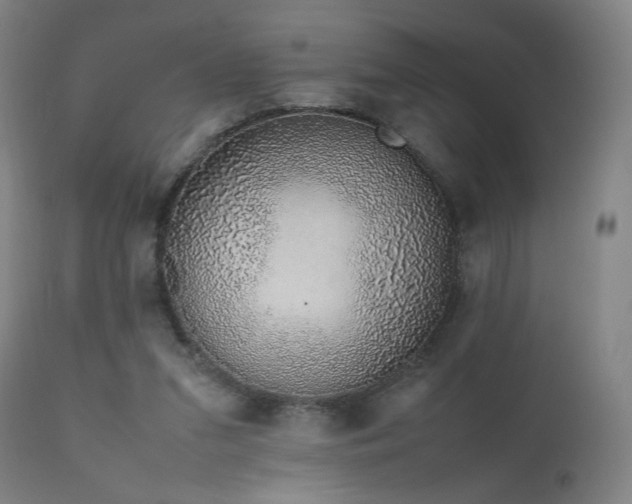 X0000111650207200907171553