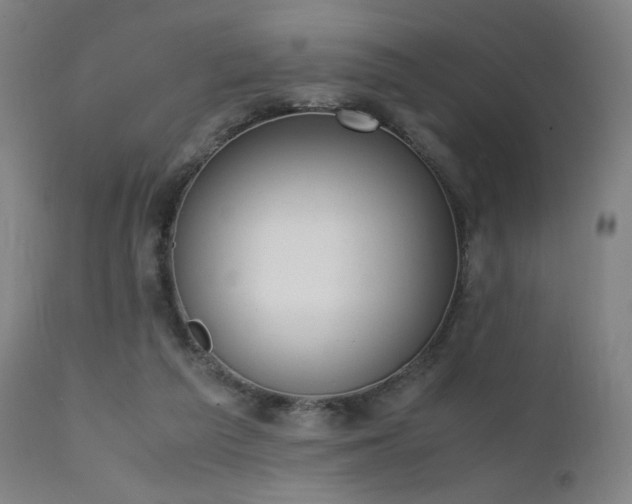 X0000111650209200907171553