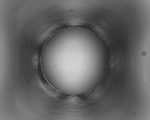 X0000111650210200907171553