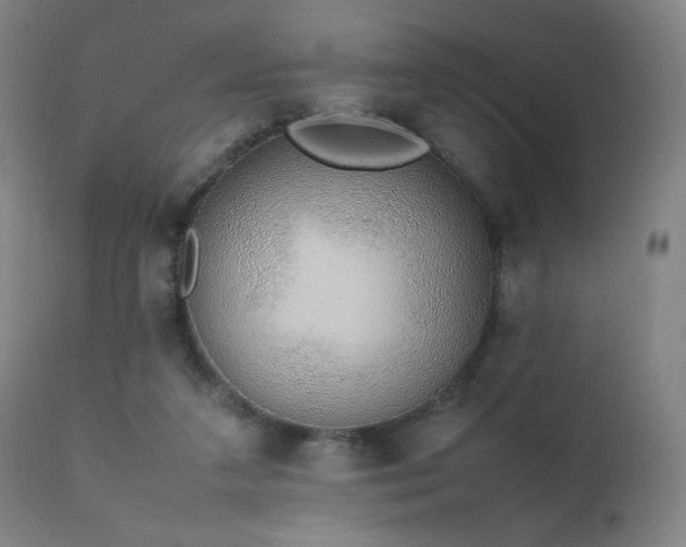 X0000111650211200907171553