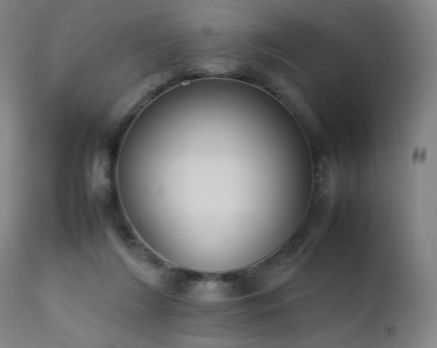 X0000111650212200907171553