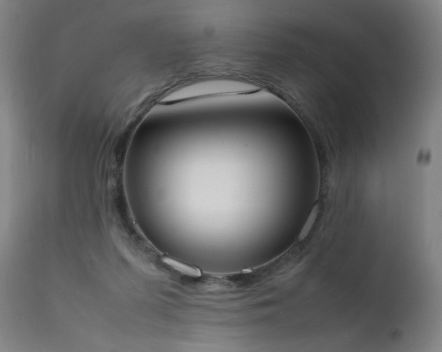 X0000111650215200907171553
