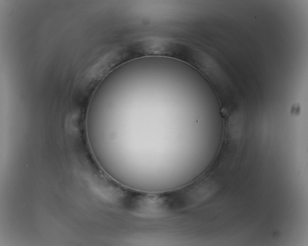 X0000111650217200907171553