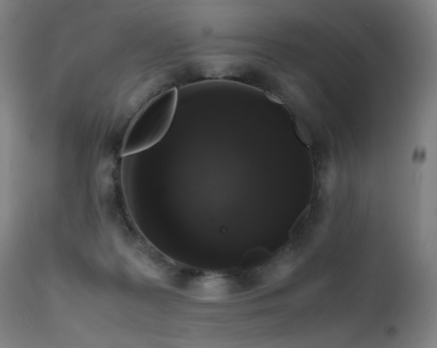 X0000111650219200907171553