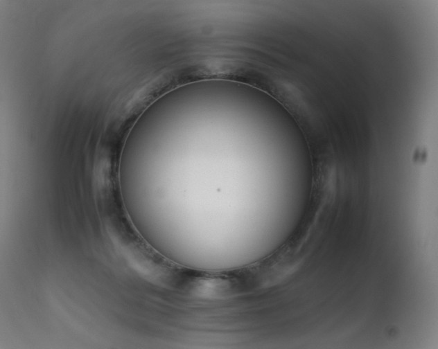 X0000111650220200907171553