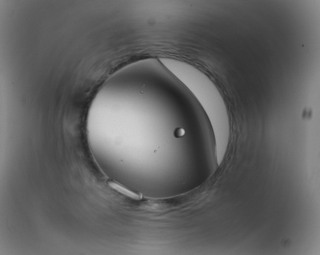 X0000111650221200907171553