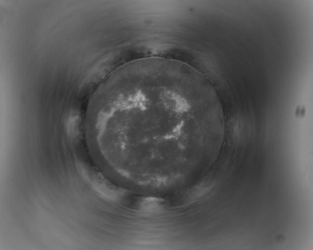 X0000111650222200907171553