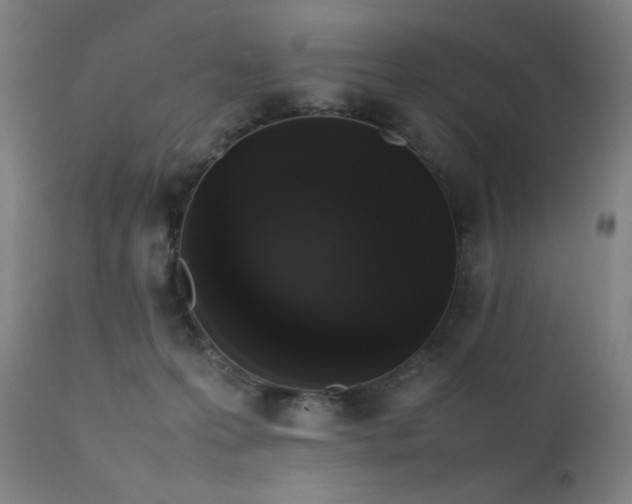X0000111650223200907171553
