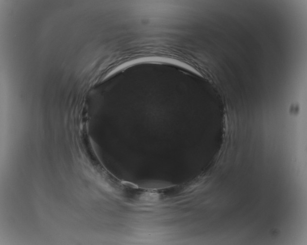 X0000111650227200907171553