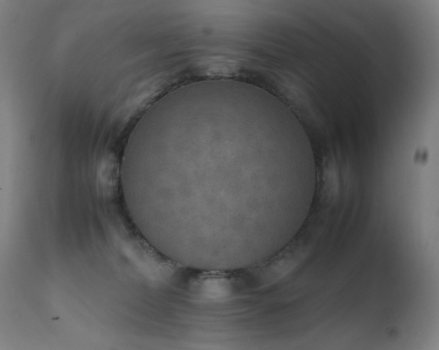 X0000111650228200907171553