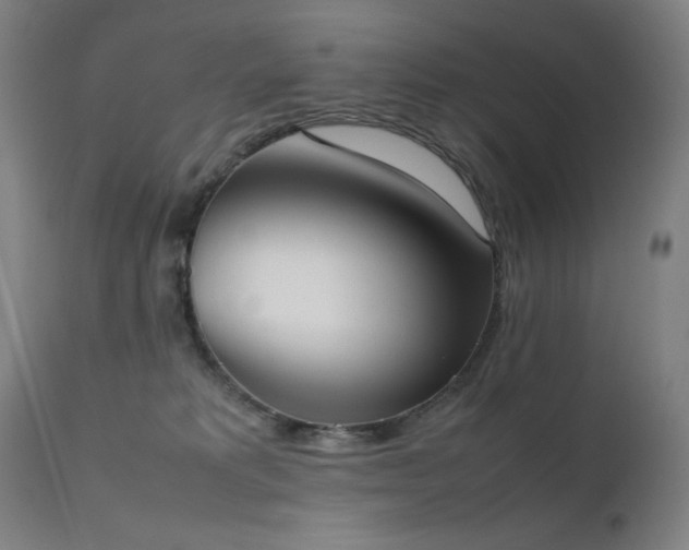 X0000111650229200907171553