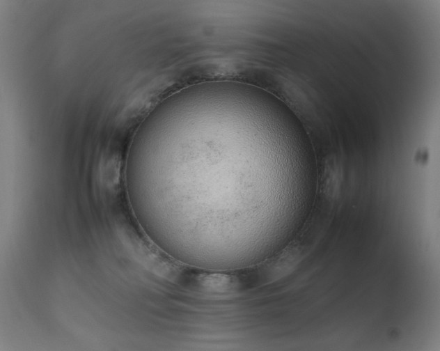 X0000111650230200907171553