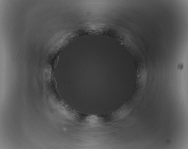 X0000111650231200907171553