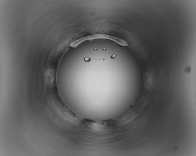X0000111650232200907171553