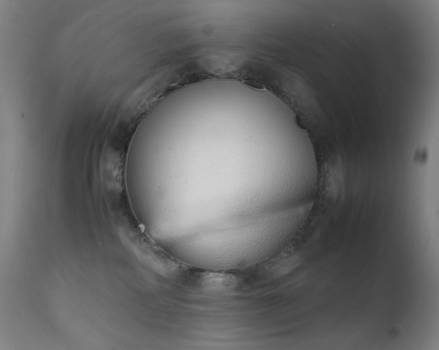 X0000111650234200907171553