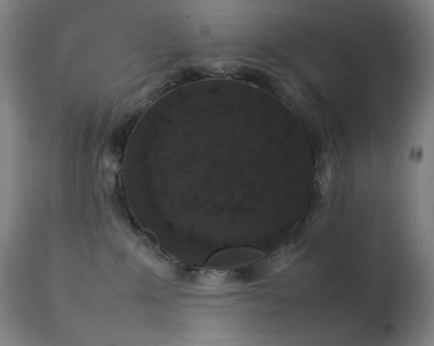X0000111650235200907171553