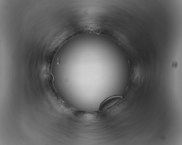 X0000111650236200907171553