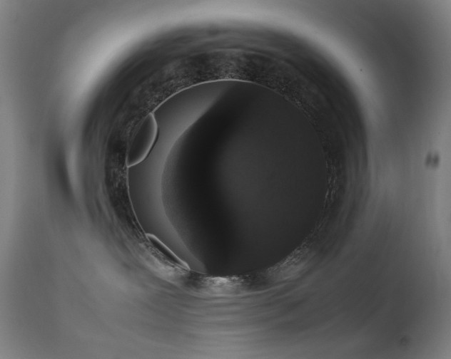 X0000111650239200907171553