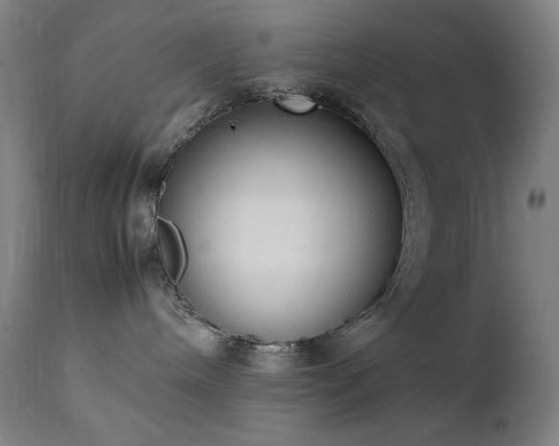 X0000111650240200907171553