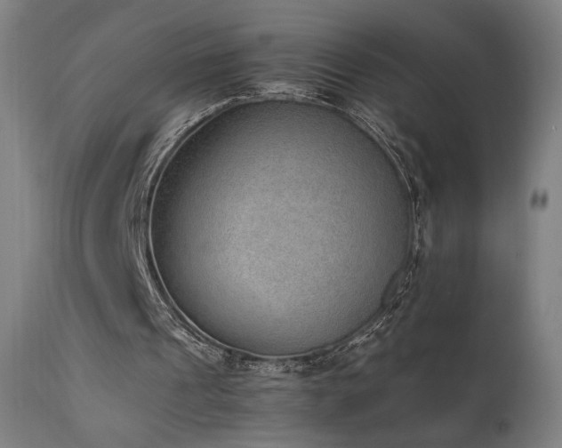 X0000111650241200907171552