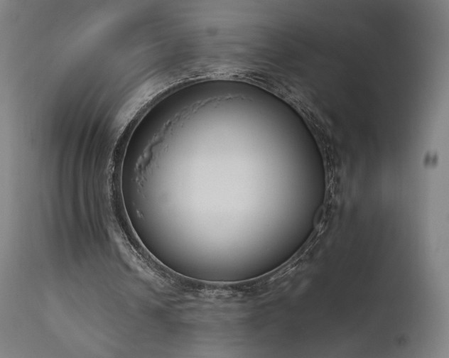 X0000111650242200907171552