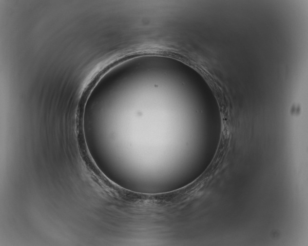 X0000111650244200907171552