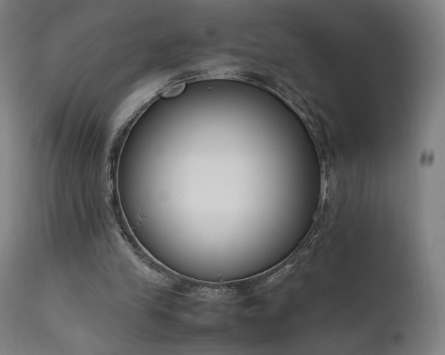 X0000111650245200907171552