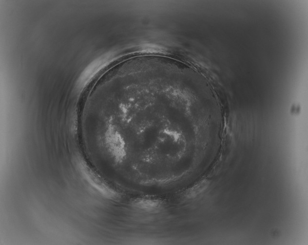 X0000111650247200907171552