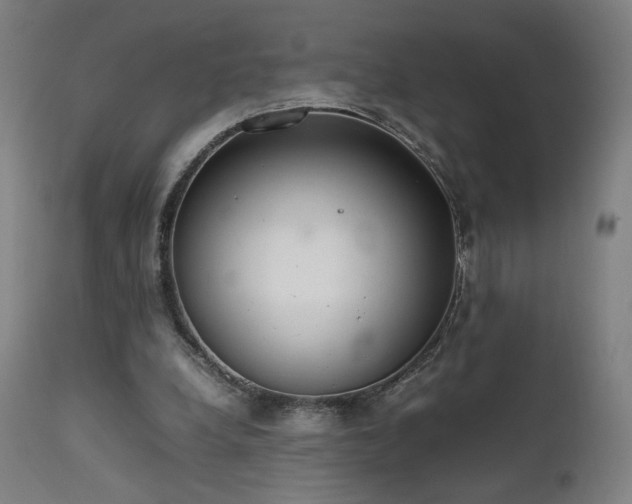 X0000111650248200907171552